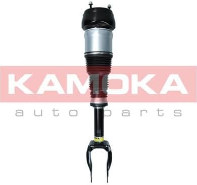 Air Suspension Strut 2070001