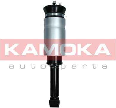 Air Suspension Strut 2070019 - image 2