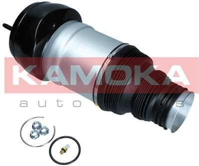 Air Spring, suspension 2079046