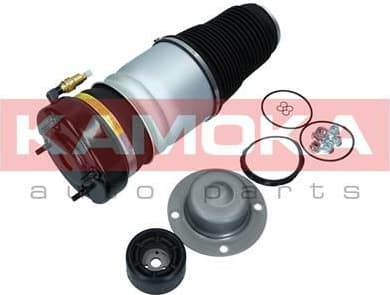 Air Spring, suspension 2079001