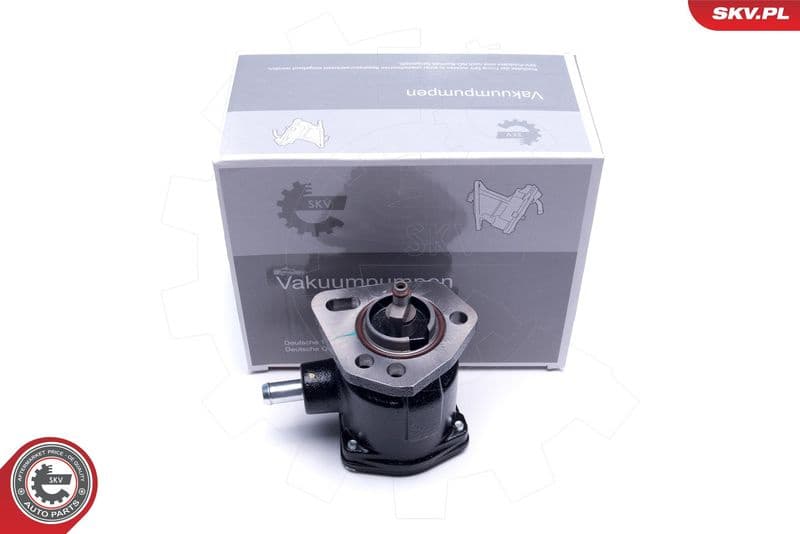 Vacuum Pump, braking system 18SKV058