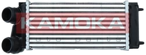 Charge Air Cooler 7750093