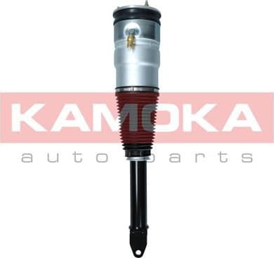 Air Suspension Strut 2070005