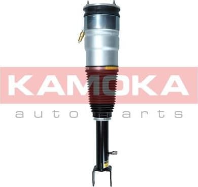 Air Suspension Strut 2070005 - image 2