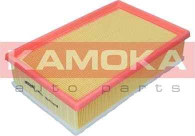Air Filter F255201
