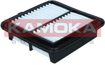 Air Filter F256601