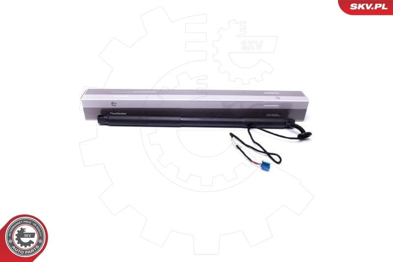 Electric Motor, tailgate 52SKV922