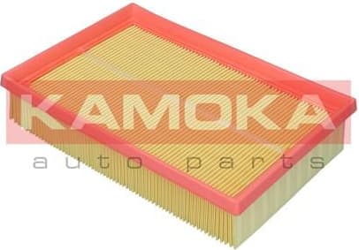 Air Filter F256301 - image 2