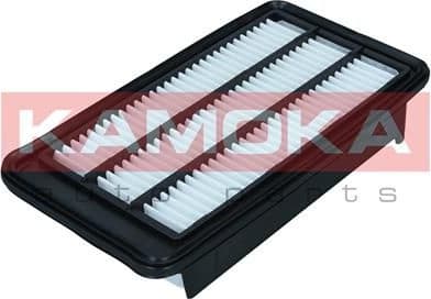 Air Filter F256501 - image 3