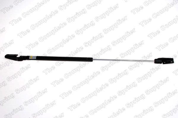 Gas Spring, boot/cargo area 8162021