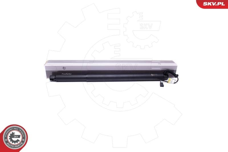 Electric Motor, tailgate 52SKV905