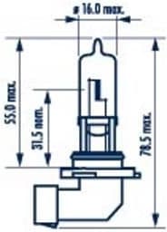 Bulb 480053000 - image 2