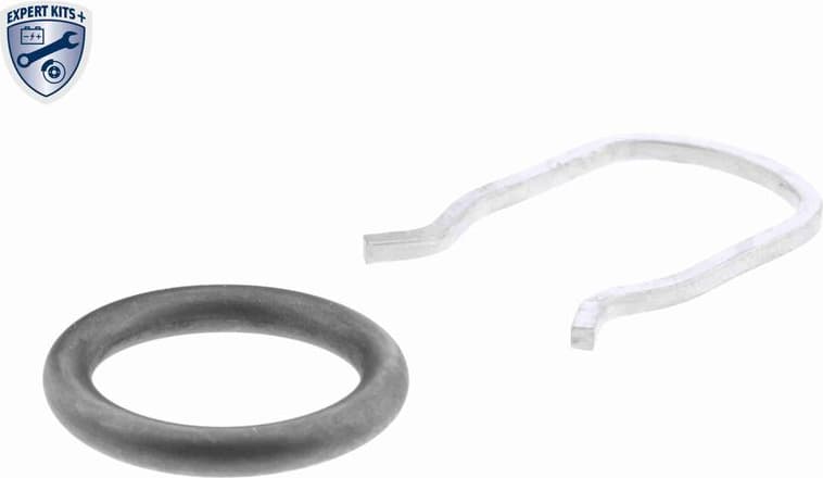 V10-72-1251 - image 3