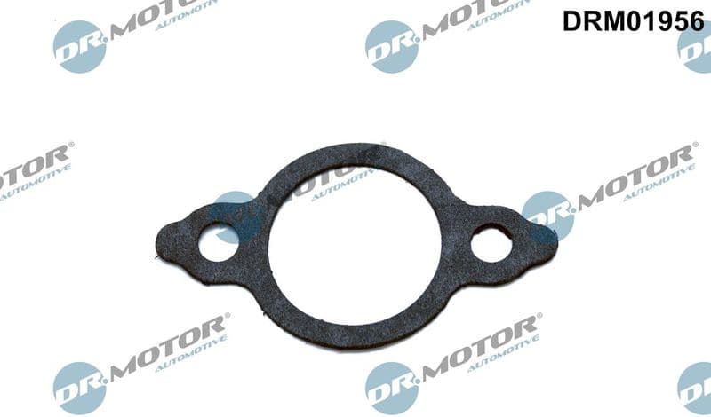 Gasket, EGR valve pipe DRM01956