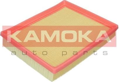 Air Filter F256101