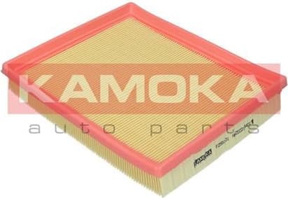 Air Filter F256101 - image 2
