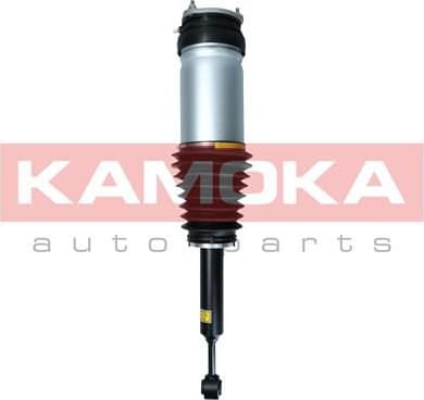 Air Suspension Strut 2070008 - image 2