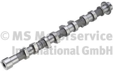 Camshaft 50007866