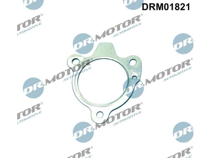 Gasket, exhaust pipe DRM01821