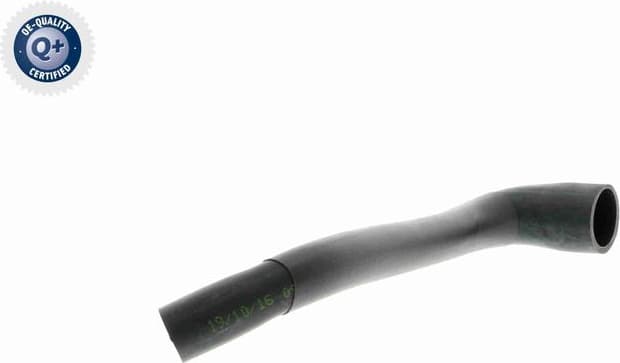 Hose, cylinder head cover ventilation Original VAICO Quality V22-1070