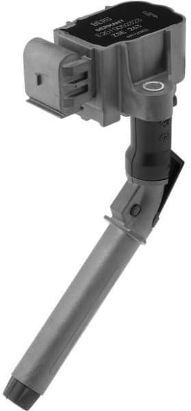 ZSE263 (BorgWarner (BERU))