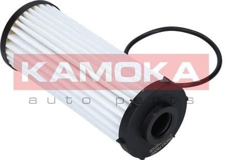 Hydraulic Filter, automatic transmission F603001 - image 5