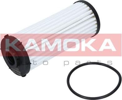 Hydraulic Filter, automatic transmission F603001 - image 6