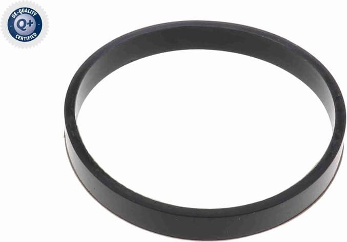 V25-99-0001 - image 2