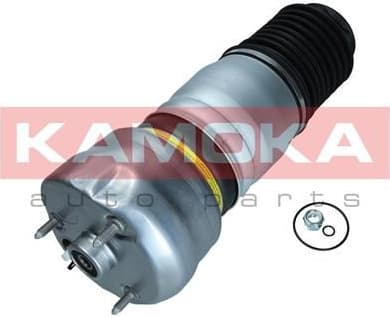 Air Spring, suspension 2079064
