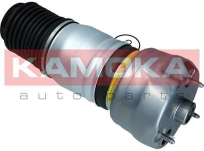 Air Spring, suspension 2079064 - image 4