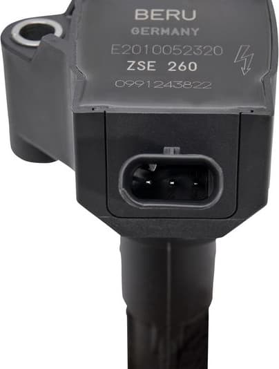 ZSE260 (BorgWarner (BERU)) - image 3