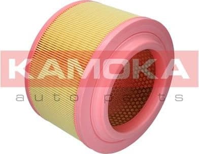 Air Filter F259401