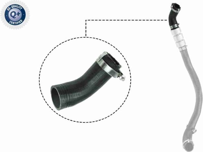 Charge Air Hose Q+, original equipment manufacturer quality V25-1037