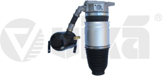 Air Suspension Strut 46160001401