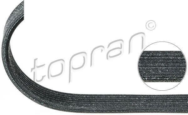 V-ribbed Belt 100 124