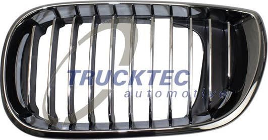 Radiator Grille 08.62.298