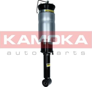 Air Suspension Strut 2070024 - image 2