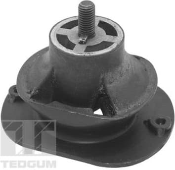 Mounting, engine TED40521