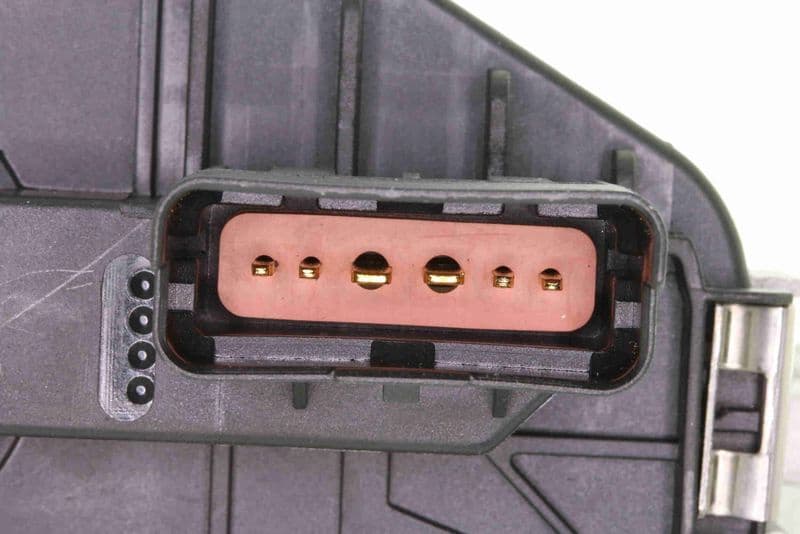 V46-81-0007 - image 2