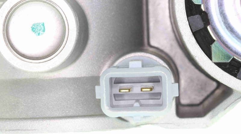 V46-81-0007 - image 4