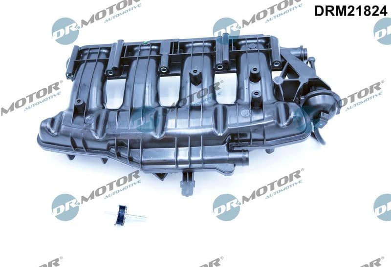 Intake Manifold Module DRM21824