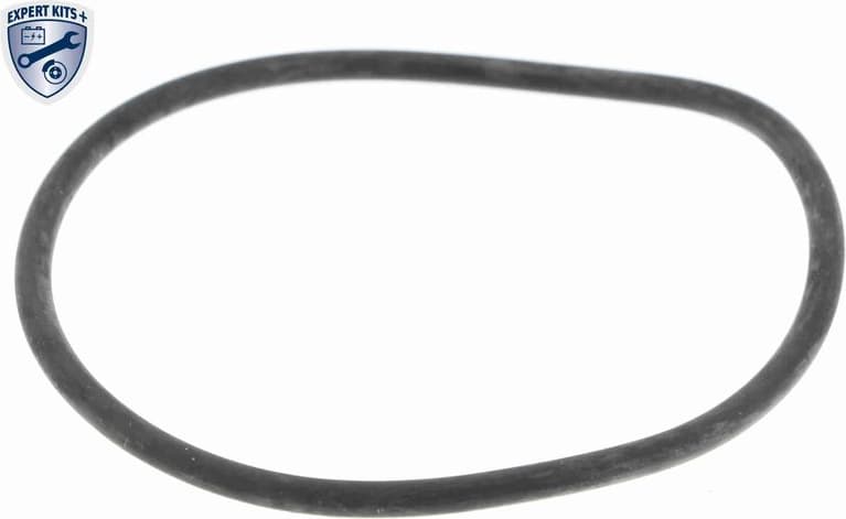 V24-99-0038 - image 2