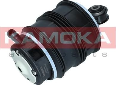 Air Spring, suspension 2079040