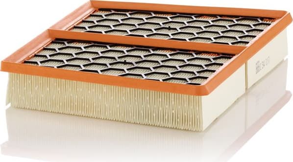 Air Filter C34017