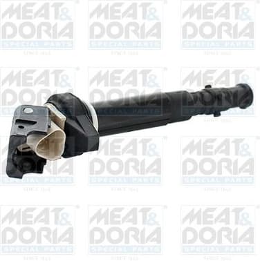 Ignition Coil 10796