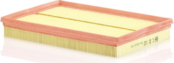 Air Filter C31123