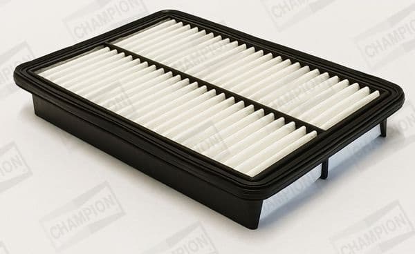 Air Filter CAF101239P