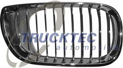 Radiator Grille 08.62.306