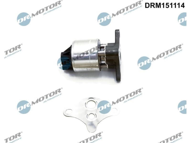 EGR Valve DRM151114
