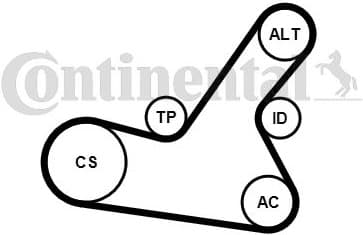 V-ribbed Belt Set 6PK1564K2